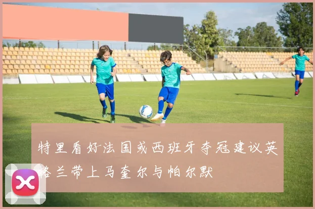 特里看好法国或西班牙夺冠建议英格兰带上马奎尔与帕尔默