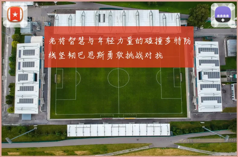 老将智慧与年轻力量的碰撞多特防线坚韧巴恩斯勇敢挑战对抗